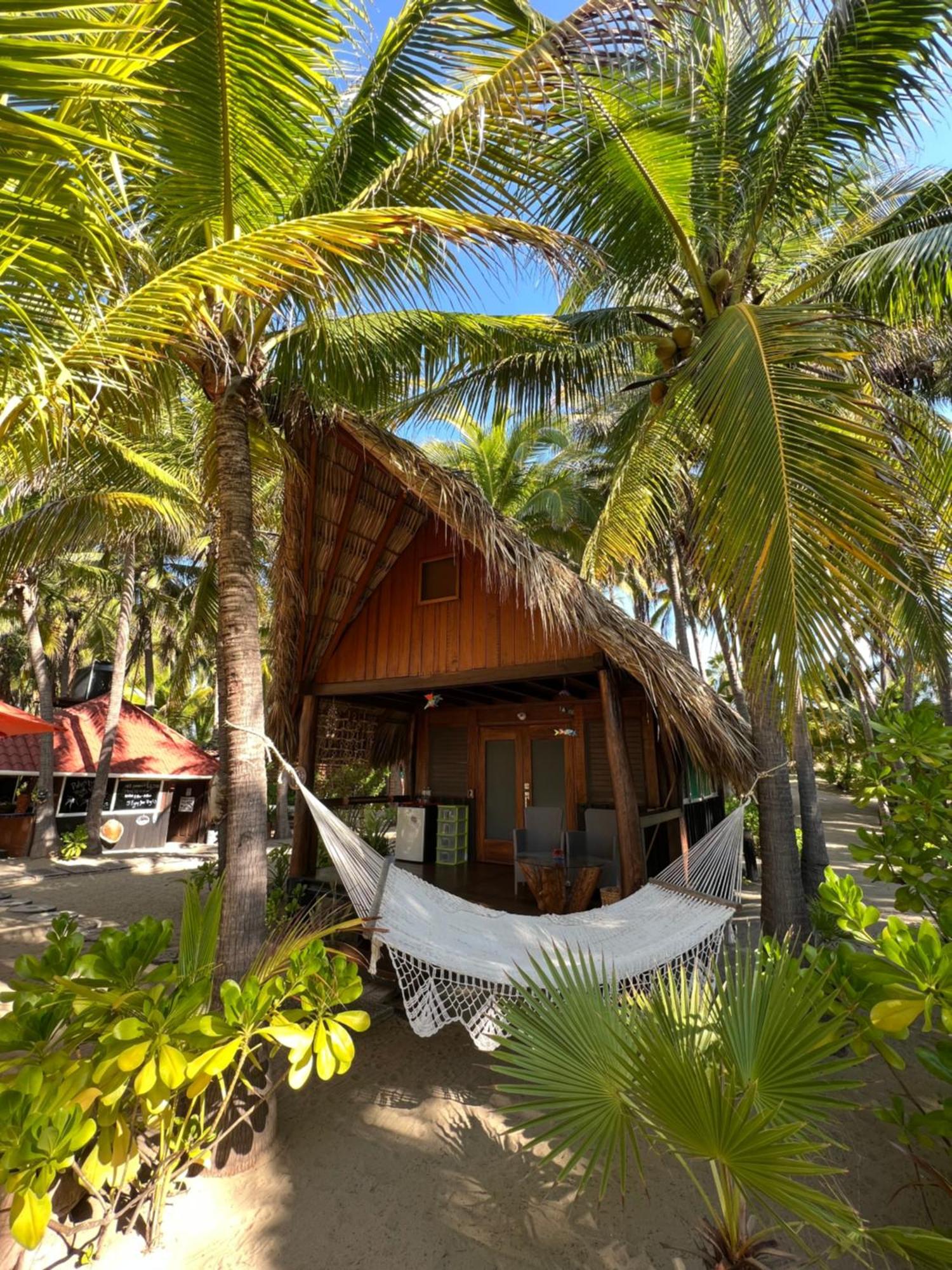 Bungalows Tree Tops - Adults Only 锡瓦塔塔内霍 外观 照片